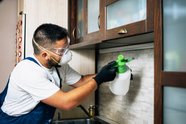 Best Mosquito Control Services  in Lipscom, AL