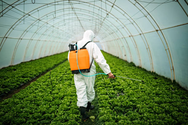 Best Pest Inspection Near Me  in Lipscom, AL