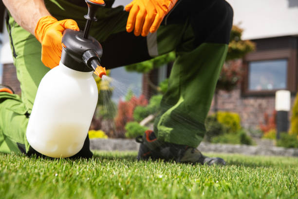 Best Flea Control Services  in Lipscom, AL