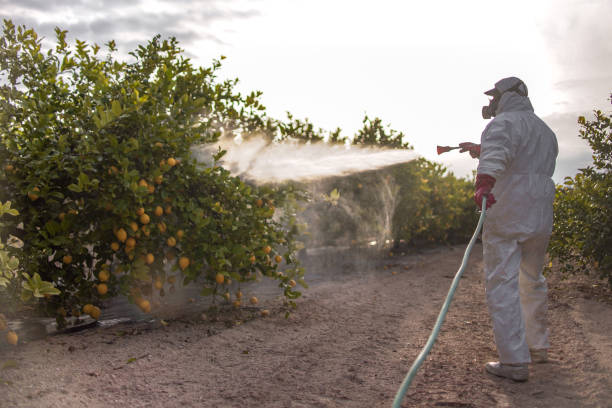 Best Wasp Removal Services  in Lipscom, AL