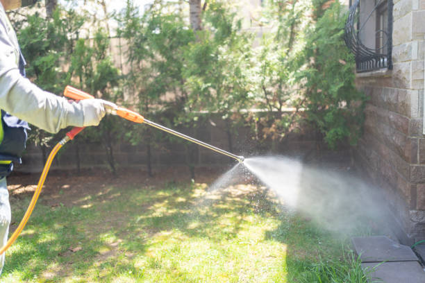 Best Flea Control Services  in Lipscom, AL