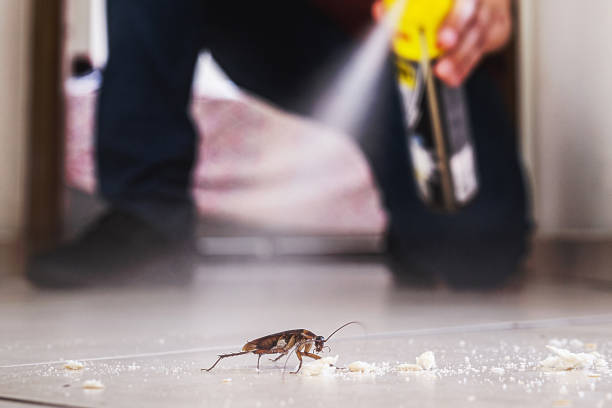 Best Local Pest Control Services  in Lipscom, AL
