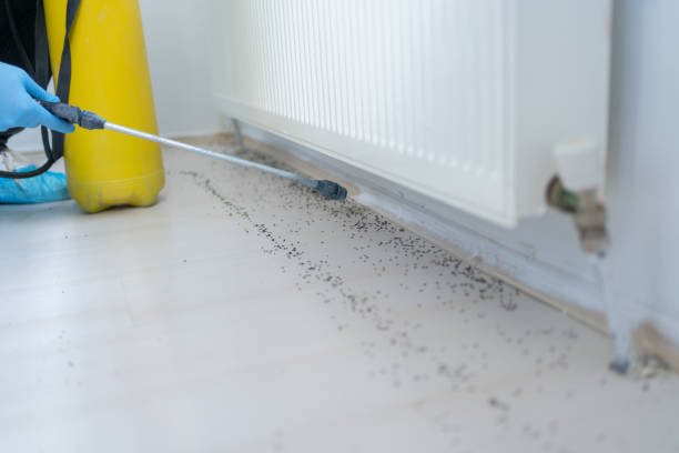 Trusted Lipscom, AL Pest Control Experts