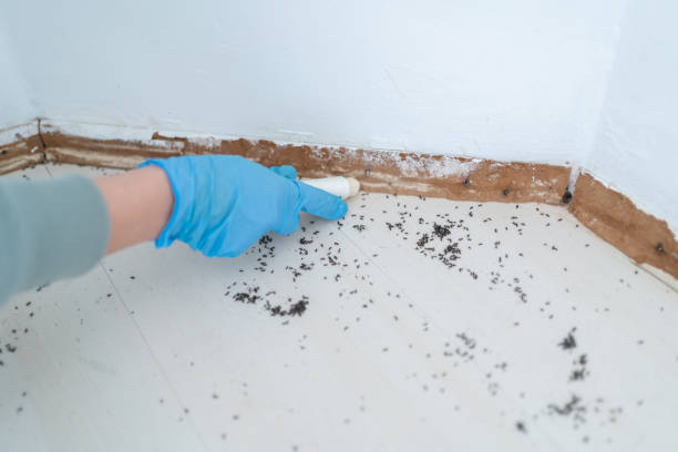 Best Pest Control Treatment  in Lipscom, AL
