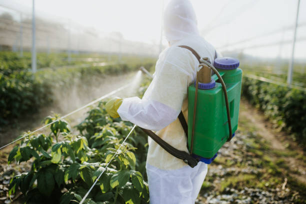 Best Wildlife Control Services  in Lipscom, AL